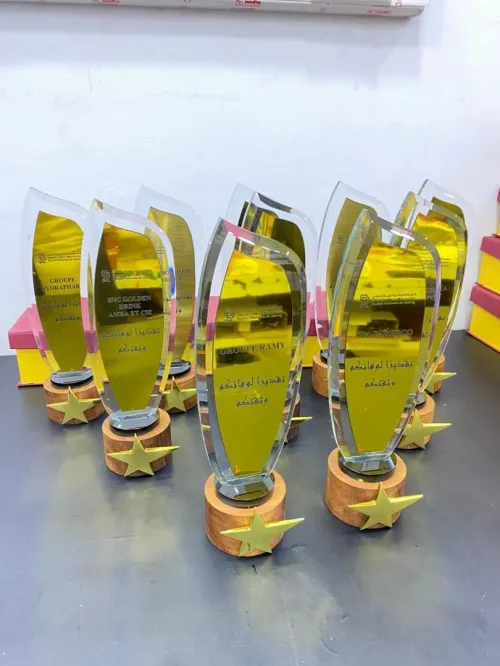 Trophée cristal lux