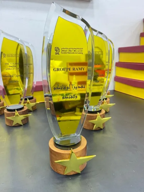 Trophée cristal lux