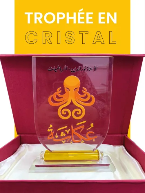 Trophée cristal assiette ( event, cadeaux, remerciement...) 