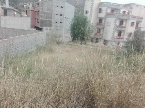 Vente Terrain Boumerdès Beni amrane