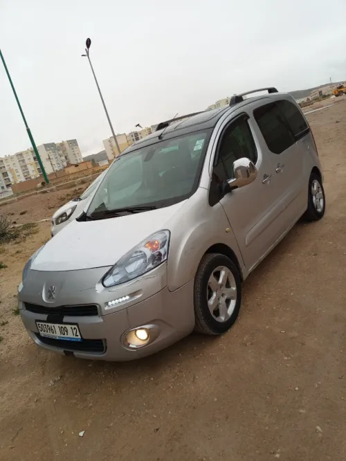 Peugeot Partner 2009 Tepee Allure 