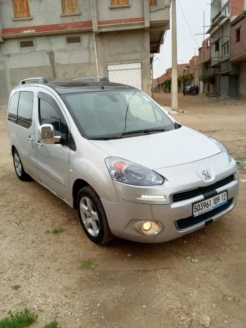 Peugeot Partner 2009 Tepee Allure 
