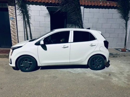 Kia Picanto 2025 Morning