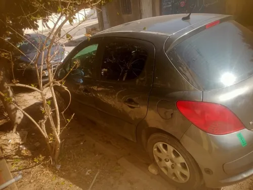 Peugeot 207 2007 207