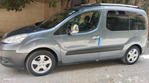 Peugeot Partner 2010 Tepee
