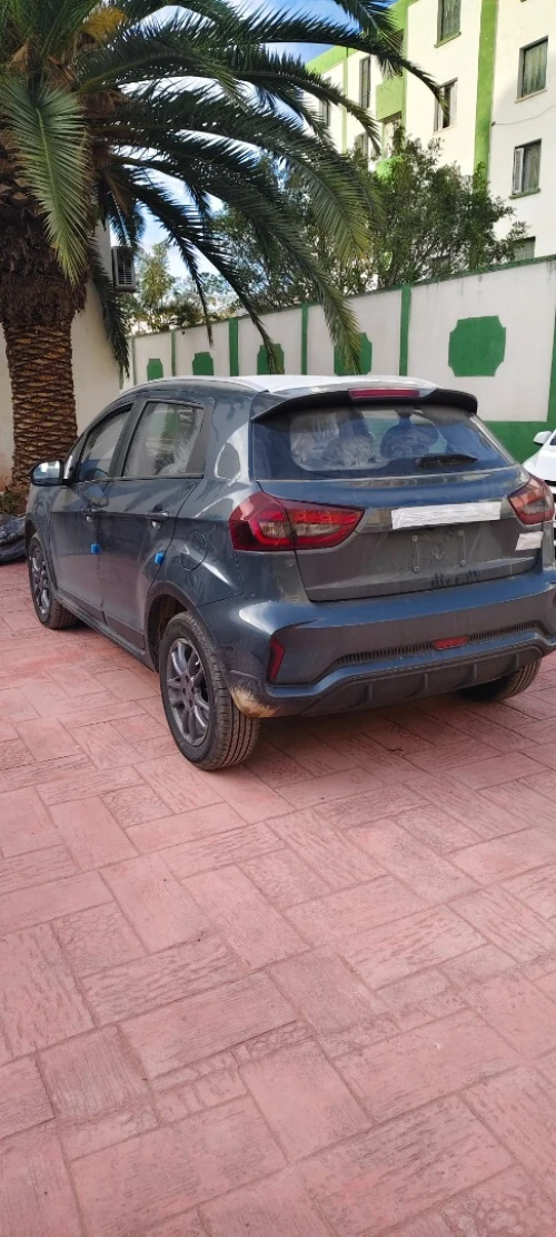 Livan X3 Pro  2025 Citadine