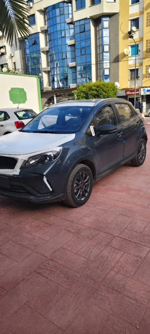 Livan X3 Pro  2025 Citadine