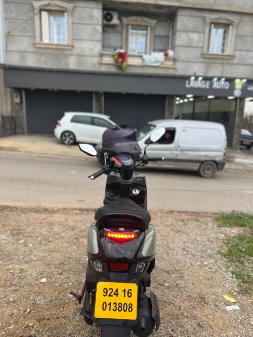Vms Coxi 2 2024