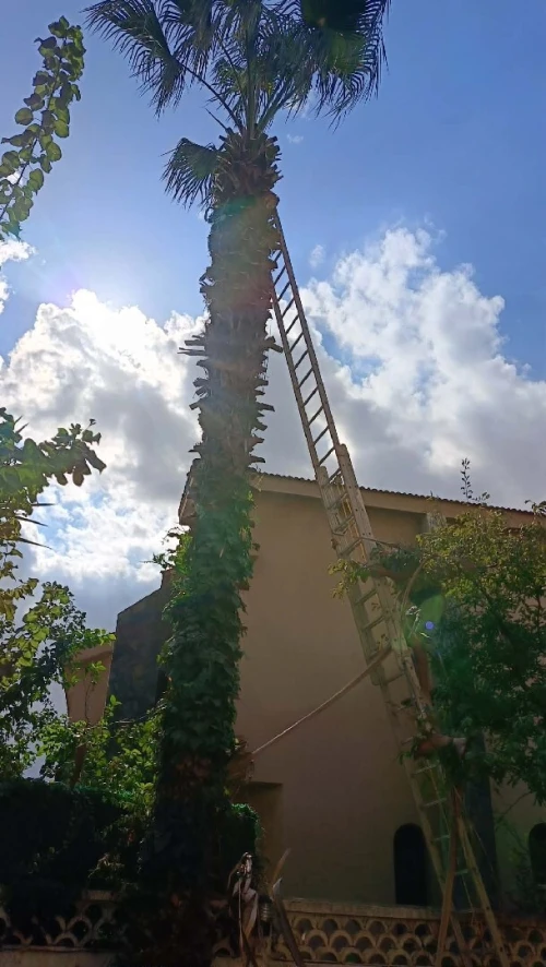 Jardinage & Entretien des espaces verts