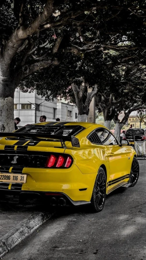 Ford Shelby 500GT 2016 