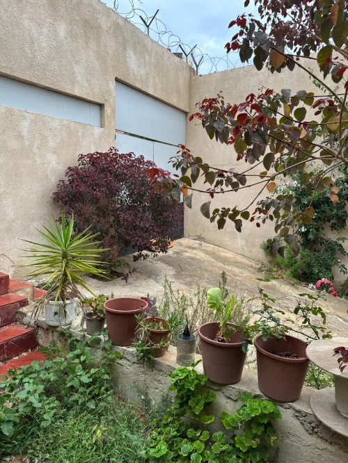 Vente Villa Alger Bouzareah