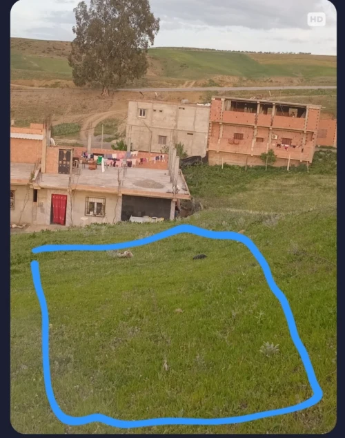 Vente Terrain Aïn Defla Hoceinia
