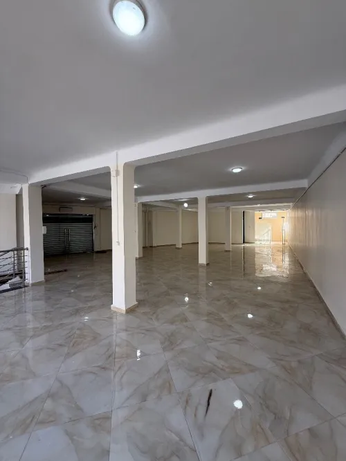 Location Immeuble Tipaza Kolea