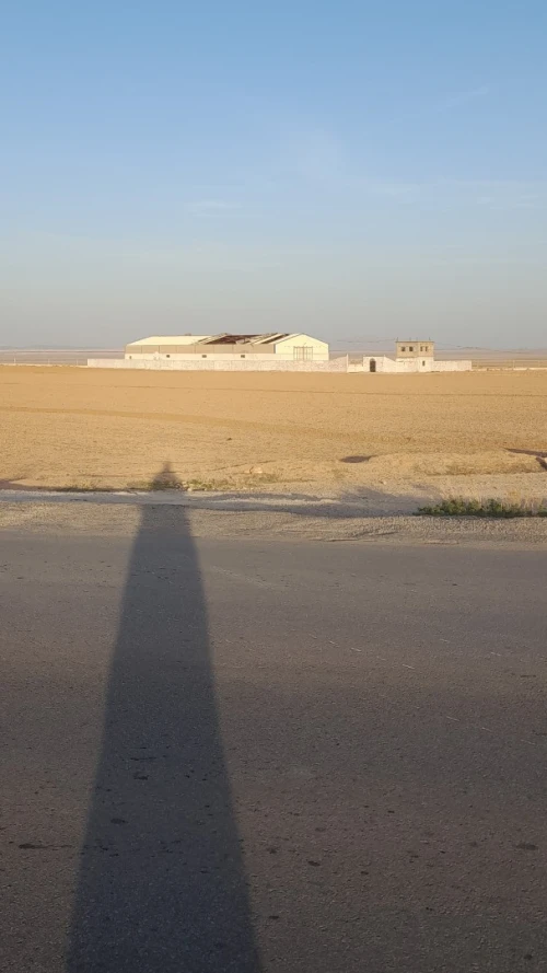 Vente Hangar - Usine Sétif El eulma