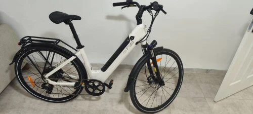Fiido C11 Vélo Électrique Léger 