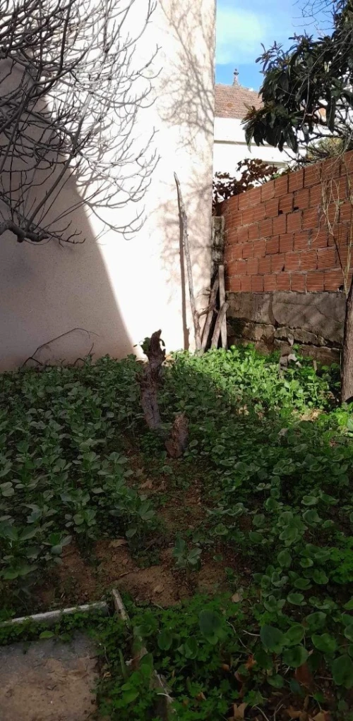 Vente Villa Tizi ouzou Tizi ouzou