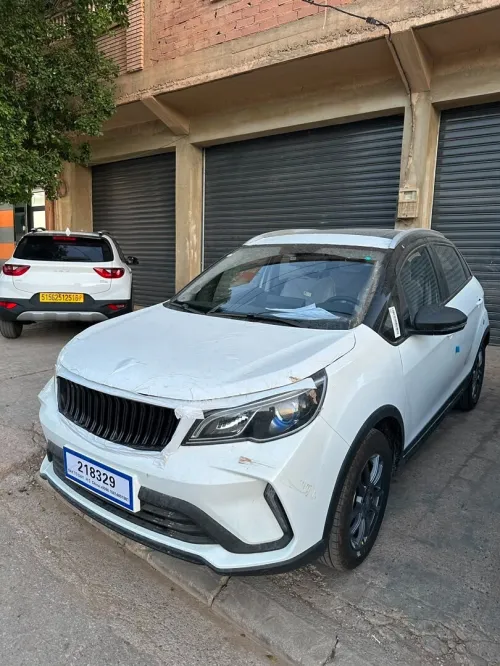 Livan X3 Pro  2026 Automatique (Avec toi ouvrant )