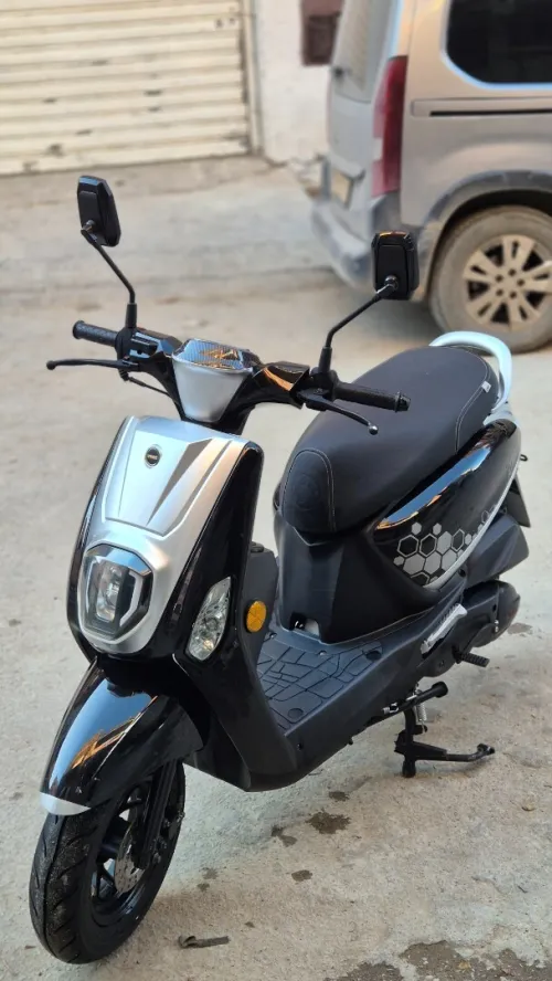 Vms Estat x 2025