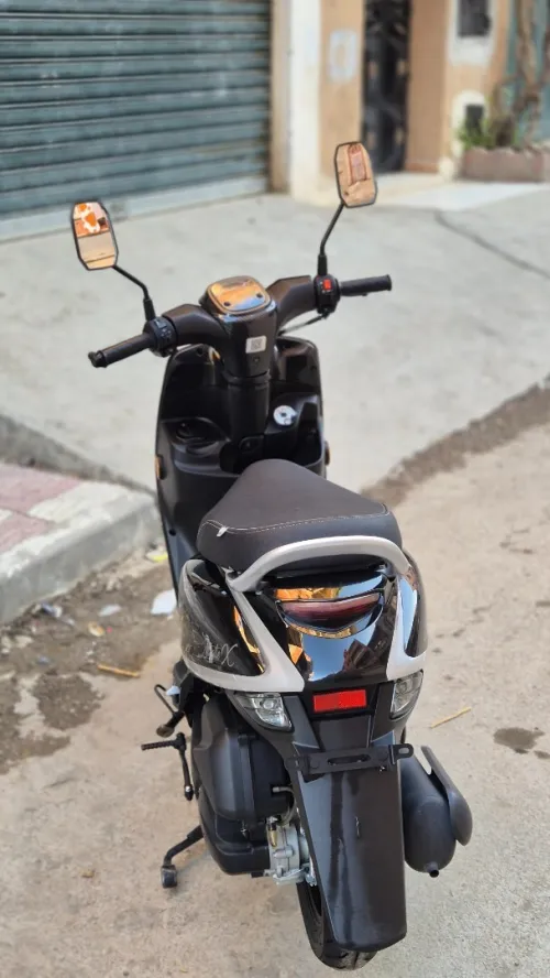 Vms Estat x 2025