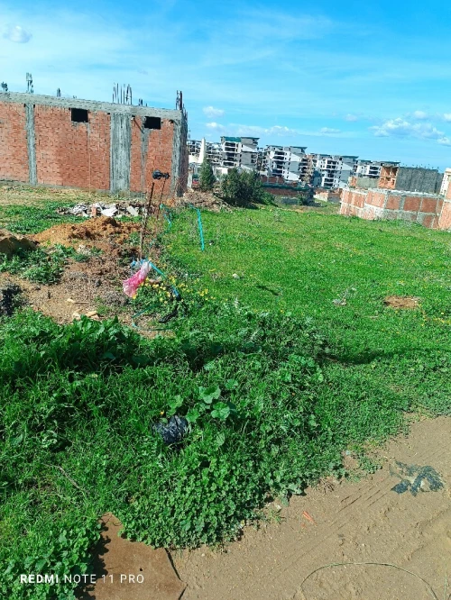 Vente Terrain Boumerdès Ouled moussa