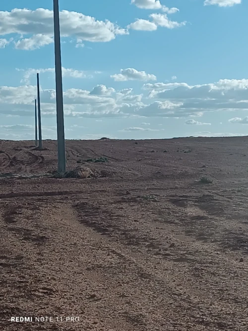 Location Terrain Agricole Djelfa Zaccar