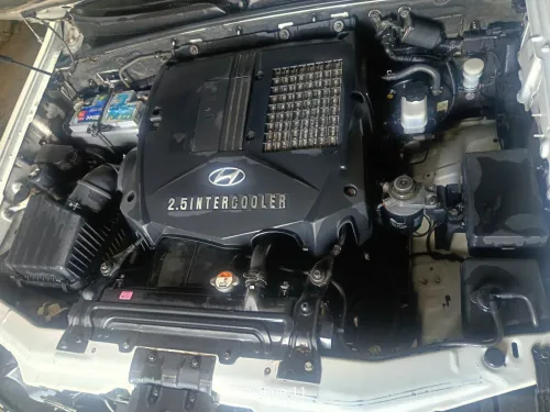 Hyundai Terracan 2008 Terracan