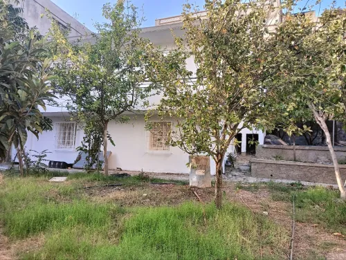 Vente Terrain Jijel Emir abdelkader