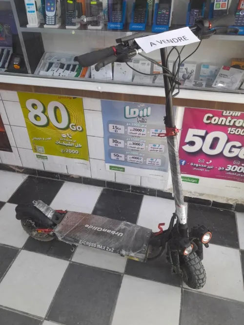 Trotinettes électrique