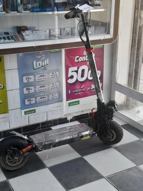 Trotinettes électrique