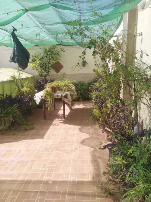 Vente Villa Blida Beni tamou