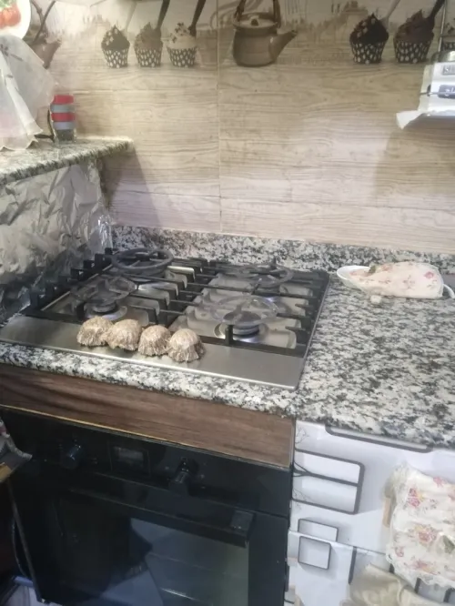 Vente Villa Blida Beni tamou