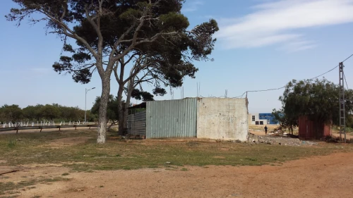 Vente Terrain Oran Hassi mefsoukh