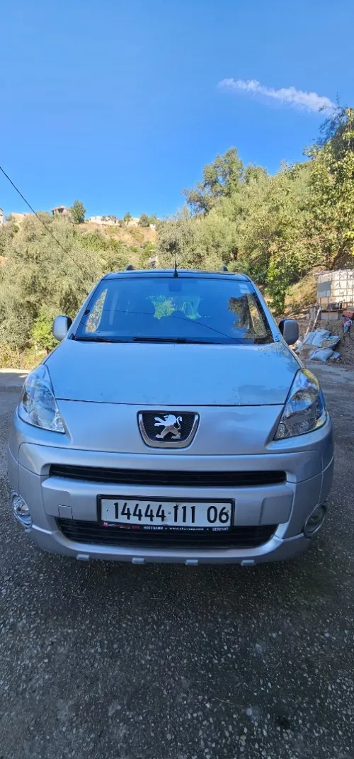 Peugeot Partner 2011 Tepee