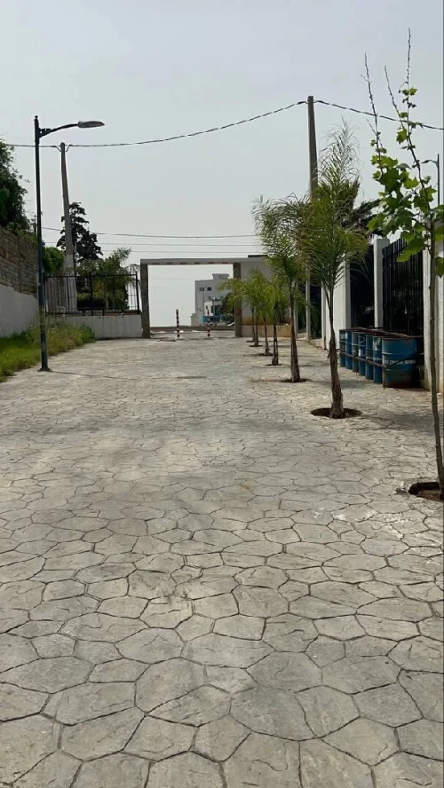 Vente Appartement F3 F4 Alger Mohammadia