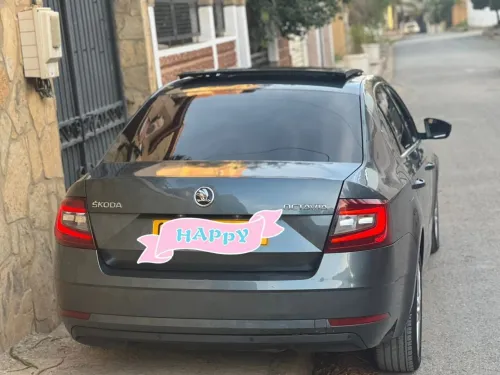 Skoda Octavia 2019 Clever