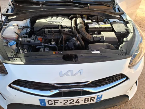 Kia Ceed 2022 Ceed