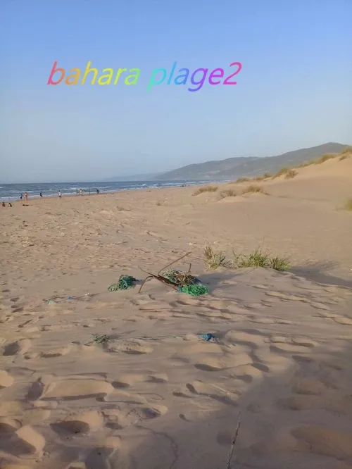 Location vacances Appartement F4 Mostaganem Achaacha