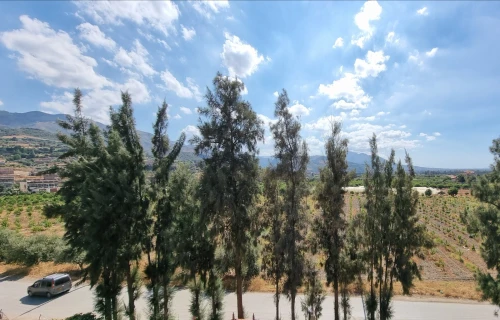 Vente Villa Blida Bougara
