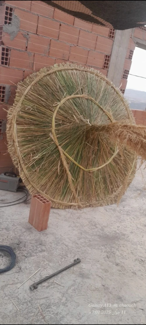 Parasol de plage artistique 