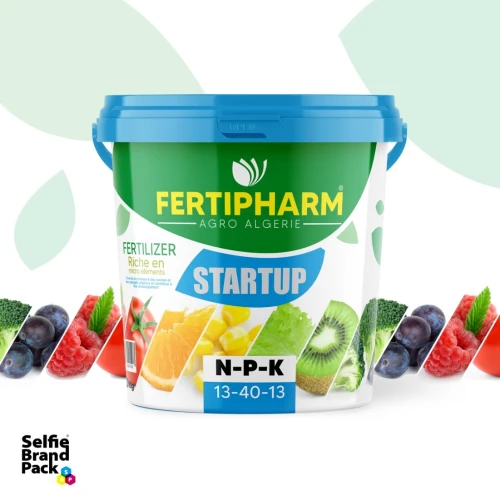 INFOGRAPHE PACKAGING DESIGN