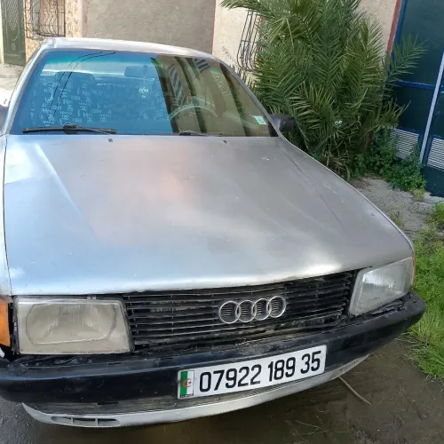 Audi 100 1989 100