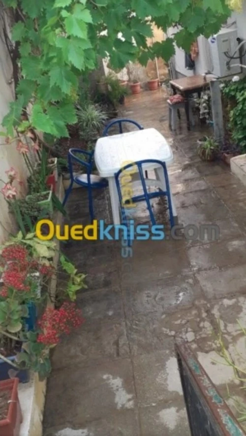 Vente Appartement Niveau de villa Chlef Chlef