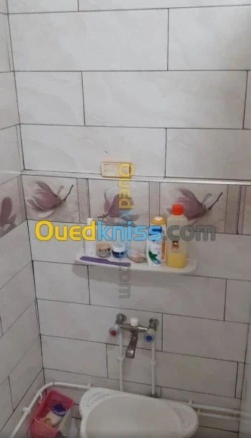 Vente Appartement Niveau de villa Chlef Chlef
