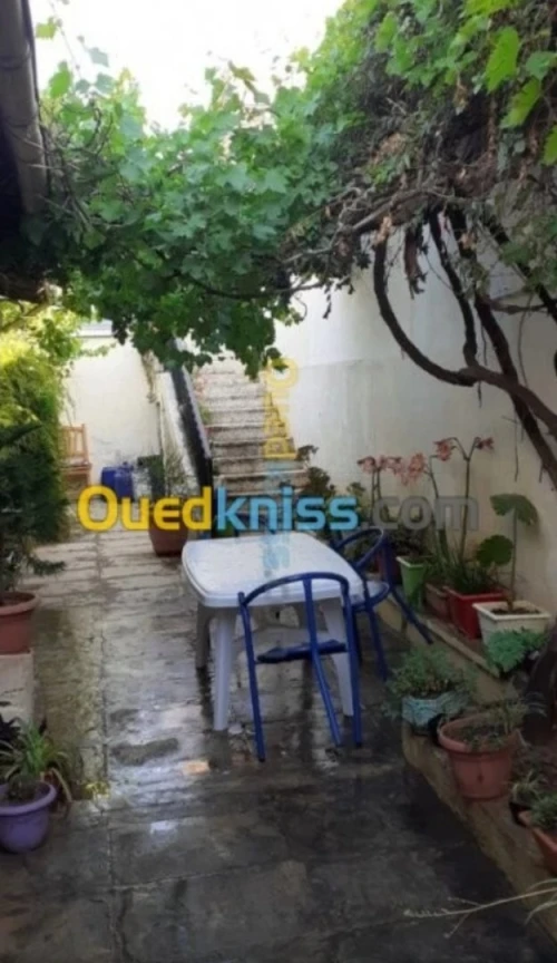 Vente Appartement Niveau de villa Chlef Chlef