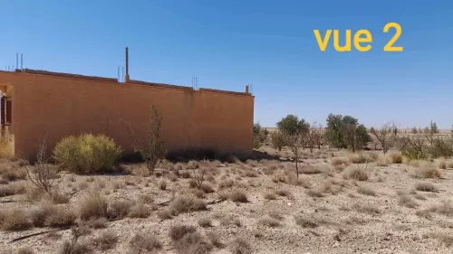 Vente Terrain Agricole Djelfa Ain el ibel