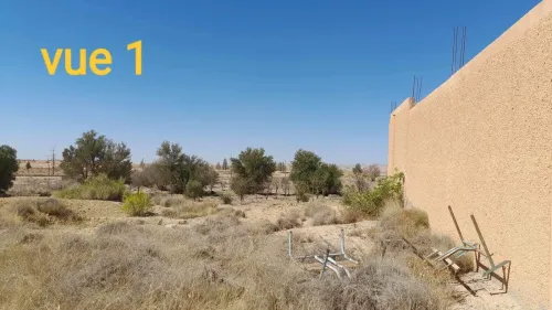 Vente Terrain Agricole Djelfa Ain el ibel