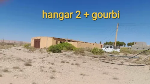 Vente Terrain Agricole Djelfa Ain el ibel
