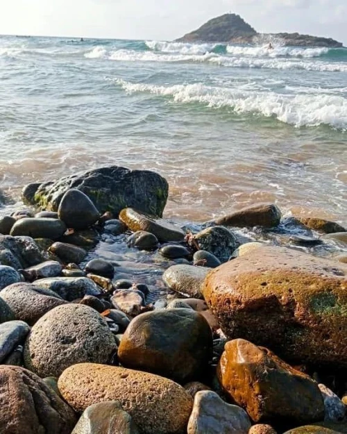 Vente Terrain Jijel Jijel