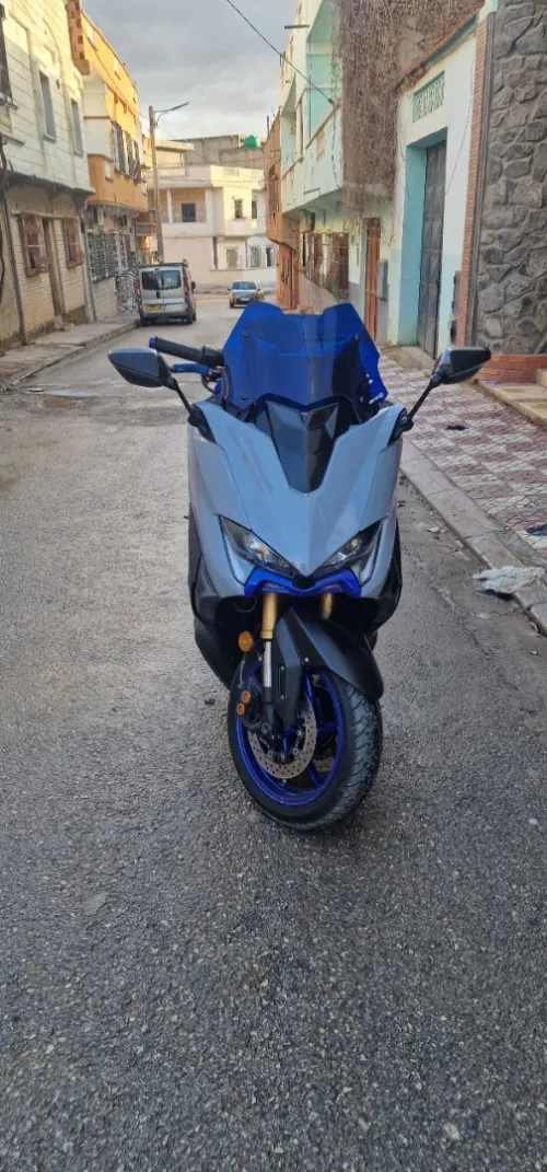 Yamaya T max 2019