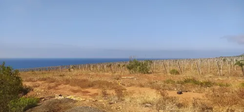 Vente Terrain Agricole Chlef Sidi abderrahmane